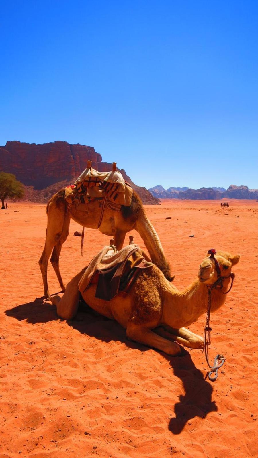 Wadi Rum Nabatean Camp Hotel Exterior foto