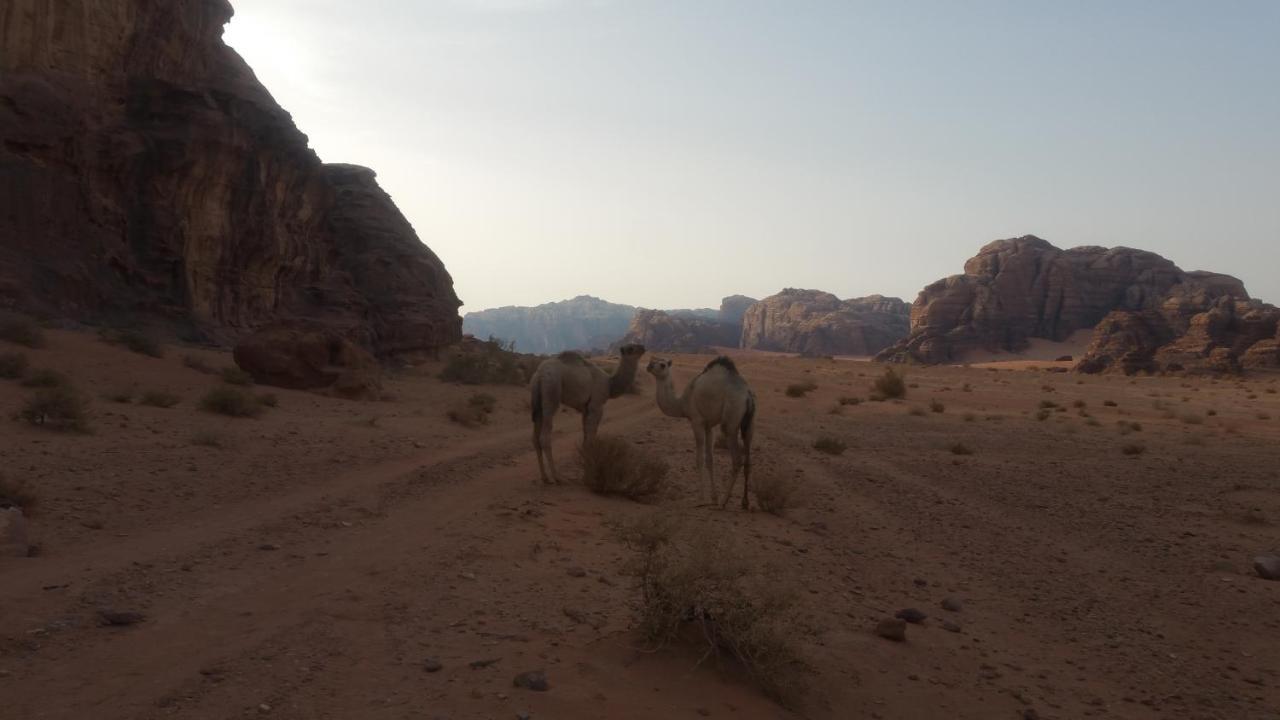 Wadi Rum Nabatean Camp Hotel Exterior foto