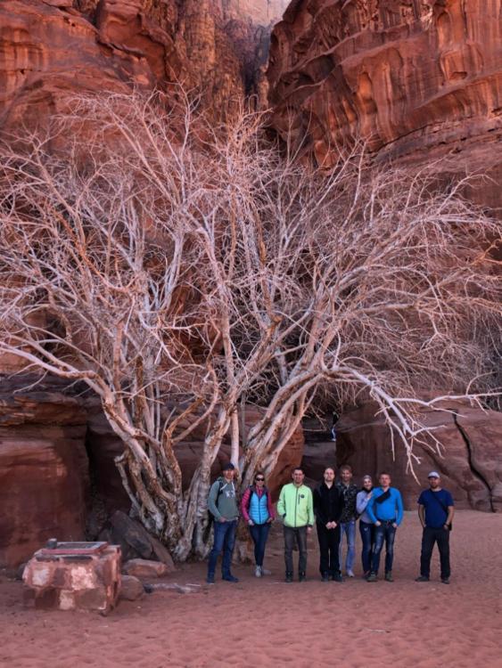 Wadi Rum Nabatean Camp Hotel Exterior foto